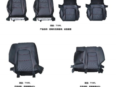 奇瑞座椅面套项目——奇瑞瑞虎5X图4