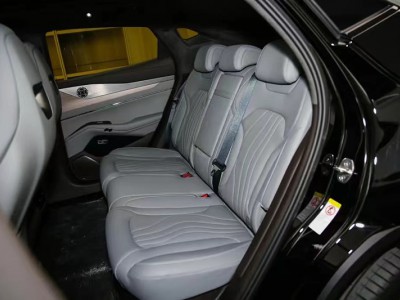 腾势N7内部扶手及头枕图2