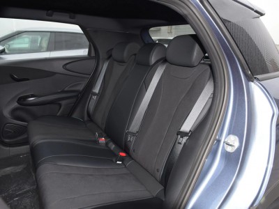 比亚迪海豚内部扶手及头枕图3