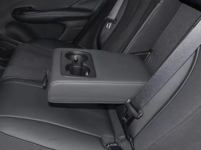 比亚迪海豚内部扶手及头枕图4