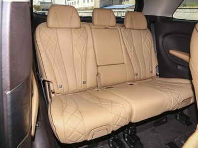 腾势D9头枕项目图4