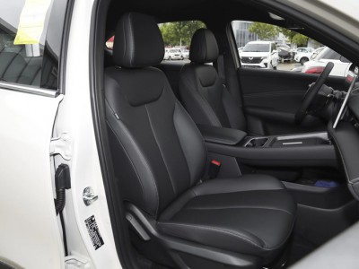 五菱宝骏云海头枕项目图5